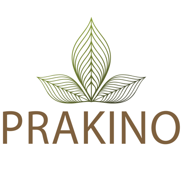 PRAKINO